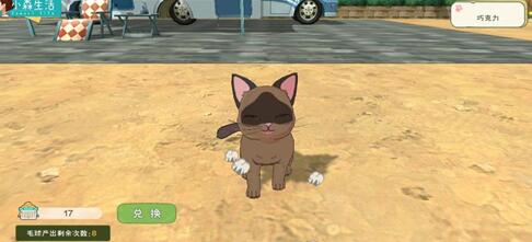 小森生活野猫怎么领养