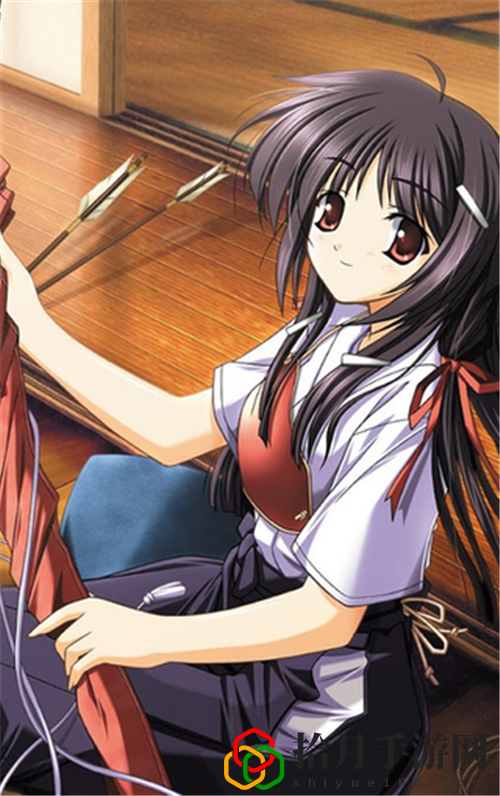 9·1免费版，网友：在创新与实用中见证改变
