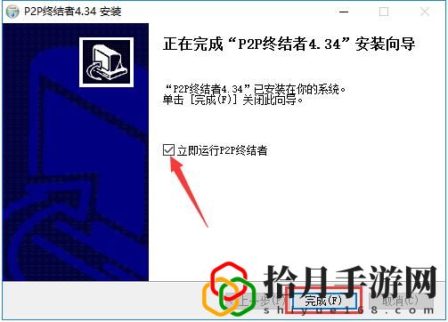 P2P终结者