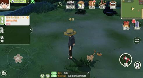 小森生活野猫怎么领养