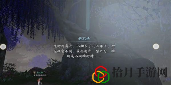 奇遇攻略大全 游戏中最强装备推荐