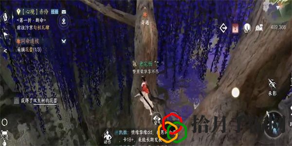 奇遇攻略大全 游戏中最强装备推荐