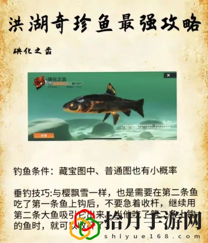 洪湖最后两条鱼位置和垂钓技巧分享 共同探索游戏世界