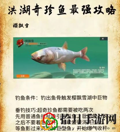 洪湖最后两条鱼位置和垂钓技巧分享 共同探索游戏世界