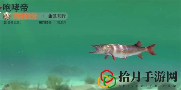咆哮帝钓鱼技巧攻略 不要因为一时的失误而气馁