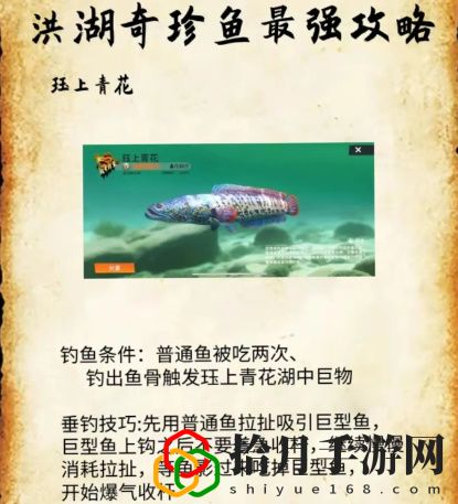 洪湖最后两条鱼位置和垂钓技巧分享 共同探索游戏世界
