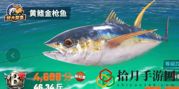 全图鉴一览 竞技场排名提升的秘诀