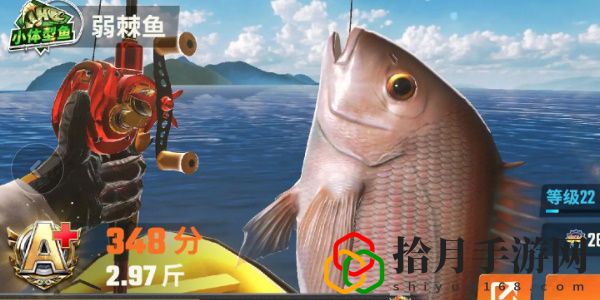 全图鉴一览 竞技场排名提升的秘诀