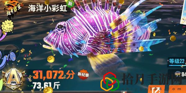 全图鉴一览 竞技场排名提升的秘诀