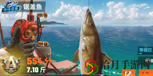全图鉴一览 竞技场排名提升的秘诀