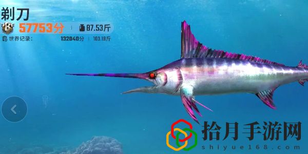 全图鉴一览 竞技场排名提升的秘诀