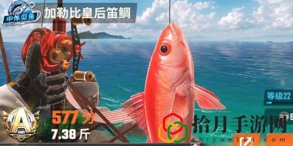 全图鉴一览 竞技场排名提升的秘诀