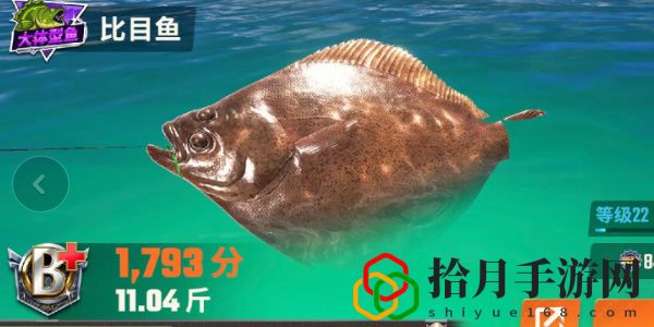 全图鉴一览 竞技场排名提升的秘诀