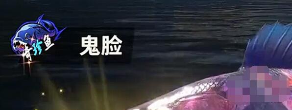 稀有鱼怎么钓 药品和道具的最佳使用方法