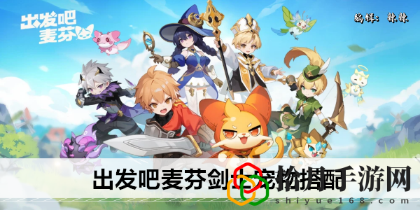 剑士宠物搭配 实用技巧大全汇总