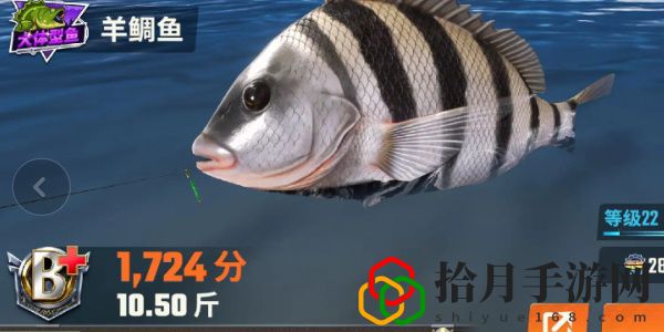 全图鉴一览 竞技场排名提升的秘诀