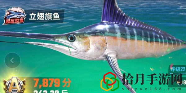 全图鉴一览 竞技场排名提升的秘诀