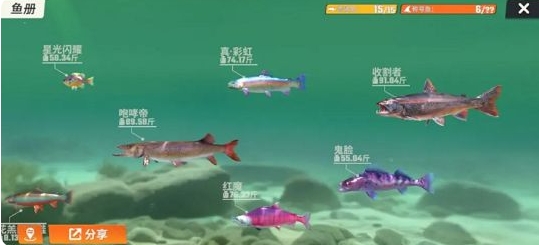 全图鉴一览 竞技场排名提升的秘诀
