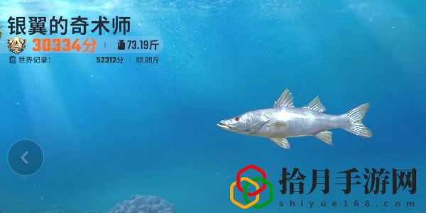 全图鉴一览 竞技场排名提升的秘诀