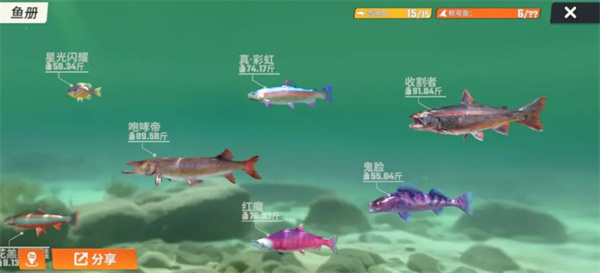 全图鉴一览 竞技场排名提升的秘诀