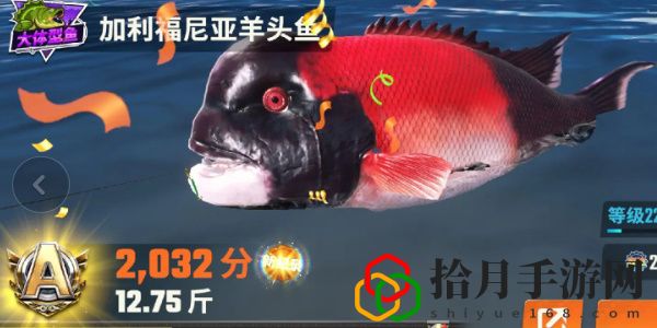 全图鉴一览 竞技场排名提升的秘诀