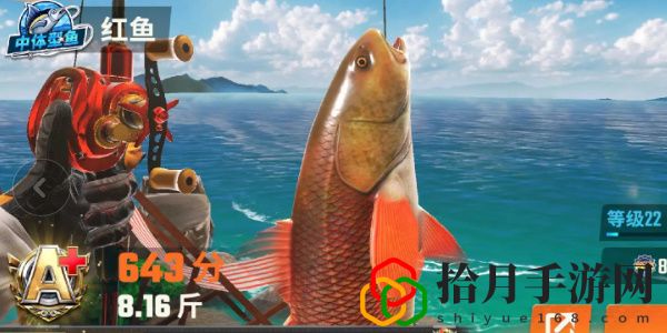 全图鉴一览 竞技场排名提升的秘诀