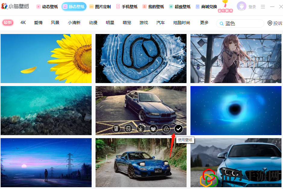 小鸟动态壁纸app