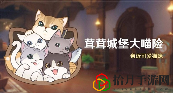 茸茸城堡大喵险攻略大全 遗迹解谜与机关破解大全