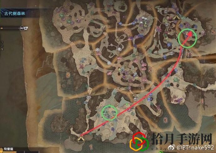 怪物猎人世界雌火龙怎么刷(雌火龙雌火龙痕迹怎么收集)