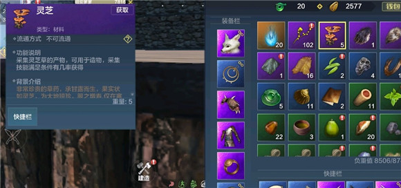 妄想山海灵芝有什么用