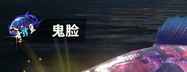 什么鱼最稀有 攻略教你节奏