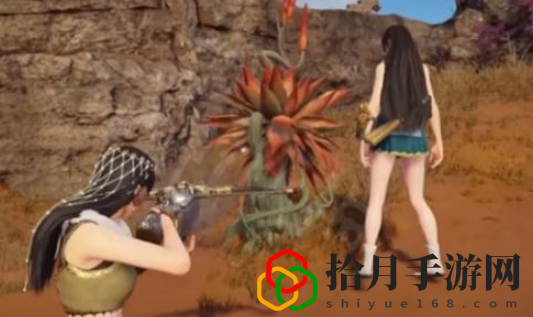永劫无间仙人掌在哪里触发(新地图本仙人掌机关的位置及效果一览)