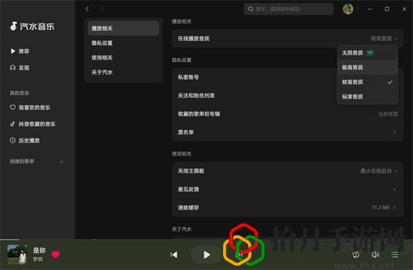 汽水音乐电脑版