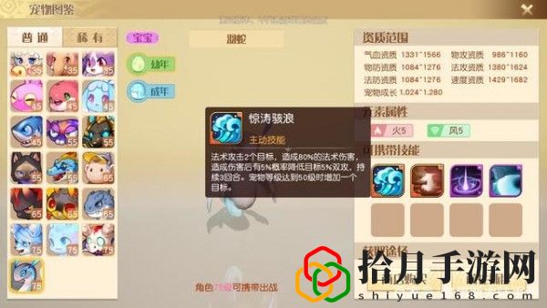 梦想新大陆宠物哪个厉害