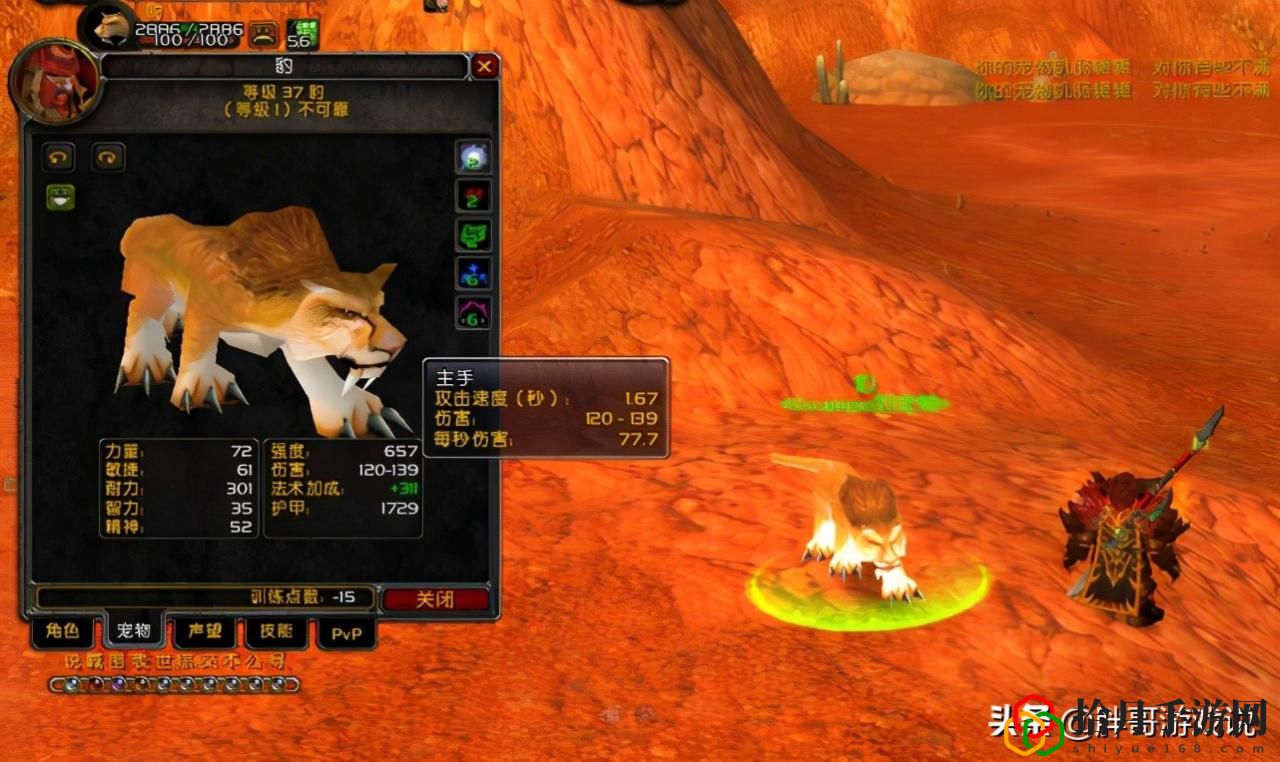 wow怀旧服猎人宠物推荐(tbc怀旧服猎人最强宠物)