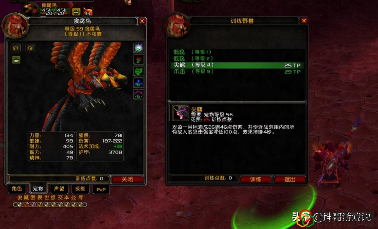 wow怀旧服猎人宠物推荐(tbc怀旧服猎人最强宠物)
