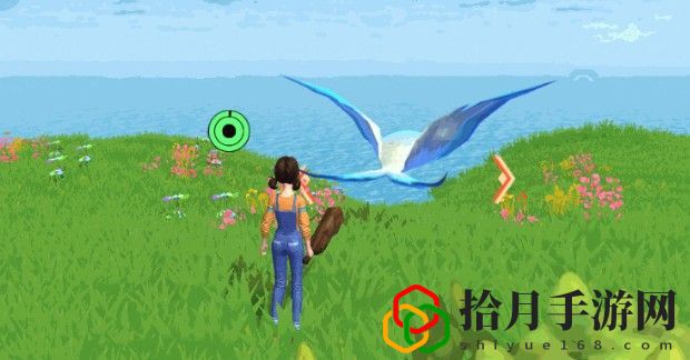 创造与魔法天空果实怎么获得
