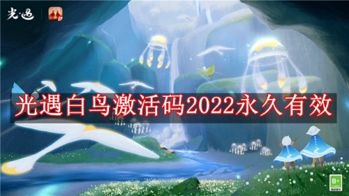 光遇白鸟激活码2024有哪些 光遇白鸟激活码2024永久有效