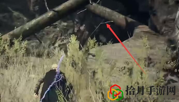 美杜莎魔弓怎么获取 如何通过任务链获取高级奖励？