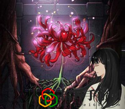 山村老屋3守墓人第一关怎么玩