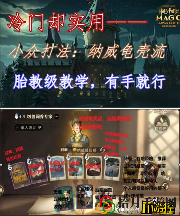 哈利波特魔法觉醒纳威龙蛋流(纳威龟壳流打法攻略)