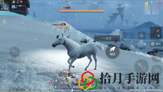 妄想山海一丈雪怎么获得