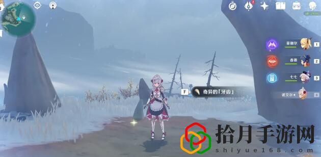 原神奇异的牙齿在哪儿