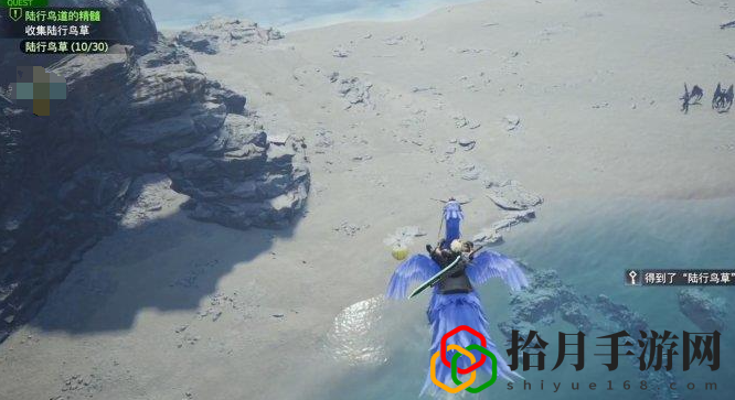 重生陆行鸟道的精髓任务怎么做 副本挑战与通关技巧分享