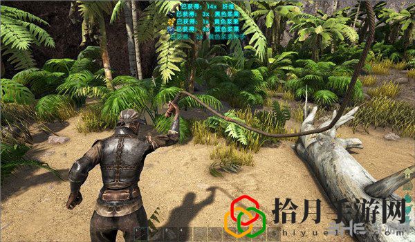 方舟生存进化怎么采集果子(果子采集方法介绍)