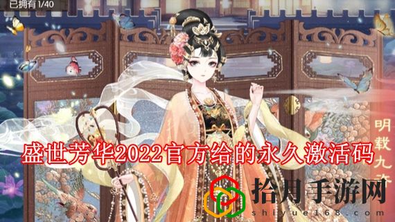 盛世芳华官方给的永久激活码有哪些 盛世芳华2022官方给的永久激活码