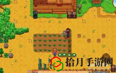 星露谷物语秋天种什么最值钱 星露谷物语秋天种植赚钱攻略