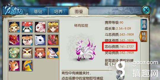 梦幻新诛仙青云宠物搭配(诛仙手游宠物全力怎么搭配)