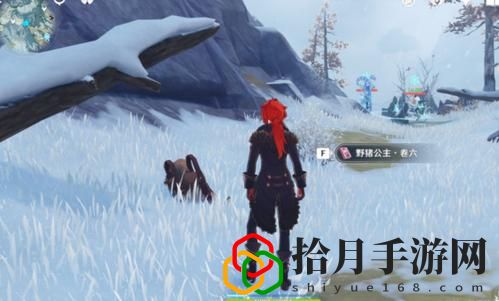 原神喂狐狸有什么用？隐藏任务喂狐狸作用以及位置介绍