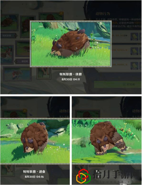 动物行为攻略 如何找到可靠的队友